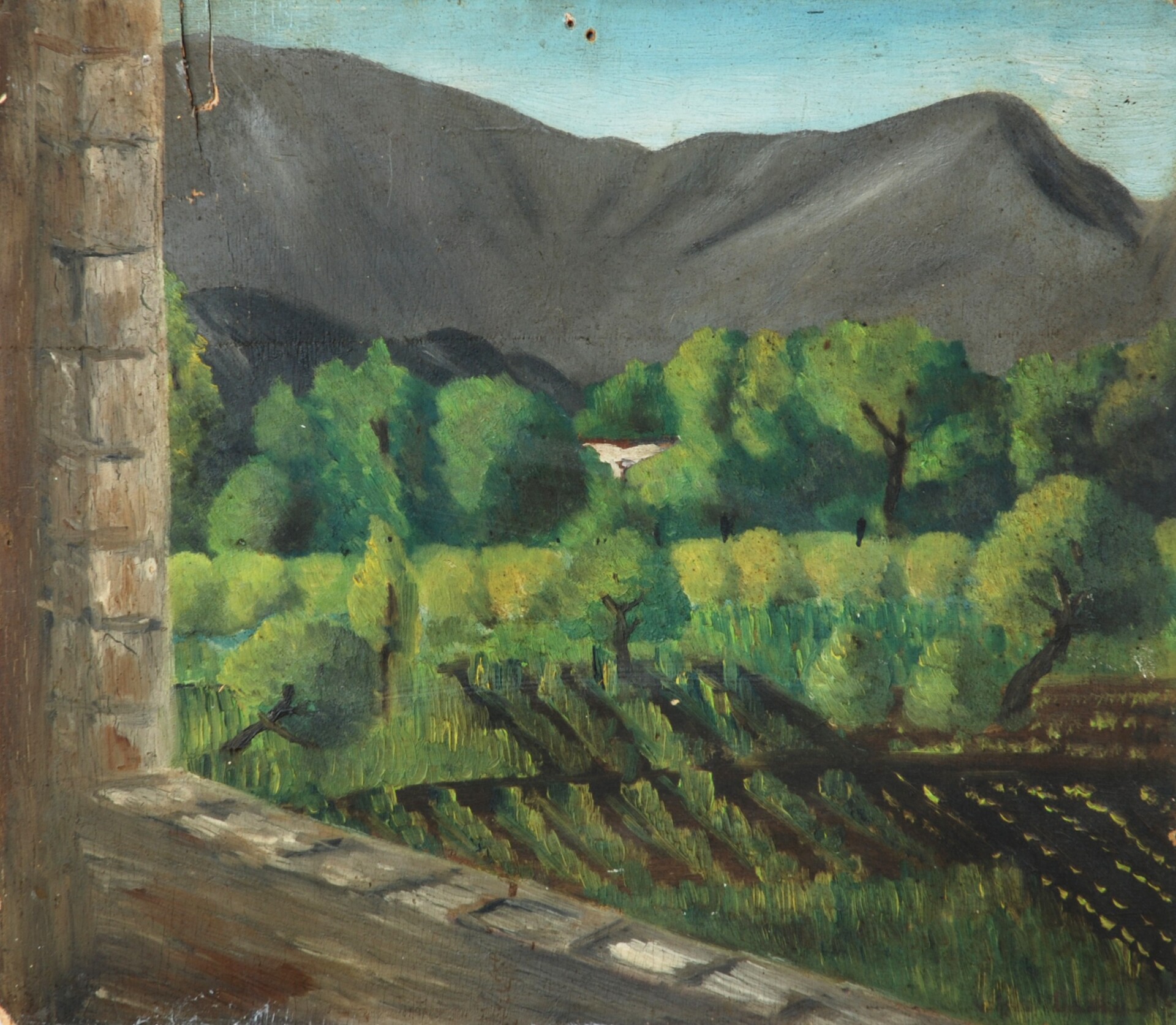 La montagna di Sarno – scorcio dalla finestra - 